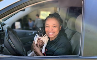 Local pet organizations working together to help provide resources for those in need