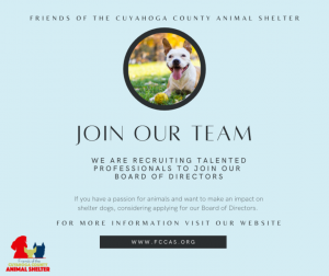 Join our team advertisement