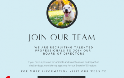 Call for board members!