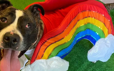 Welcome to FCCAS’ new blog!