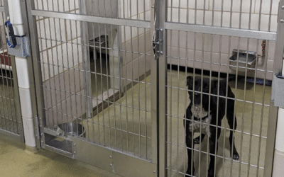 Facilities Improvements