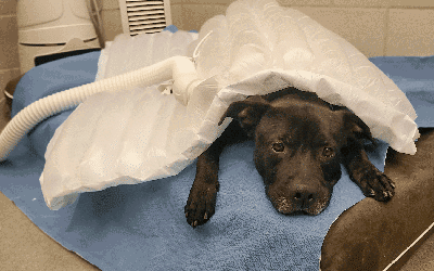 Facilities Improvements Update