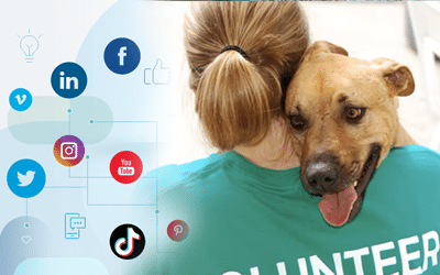 Volunteer Opportunity: Social Media Manager