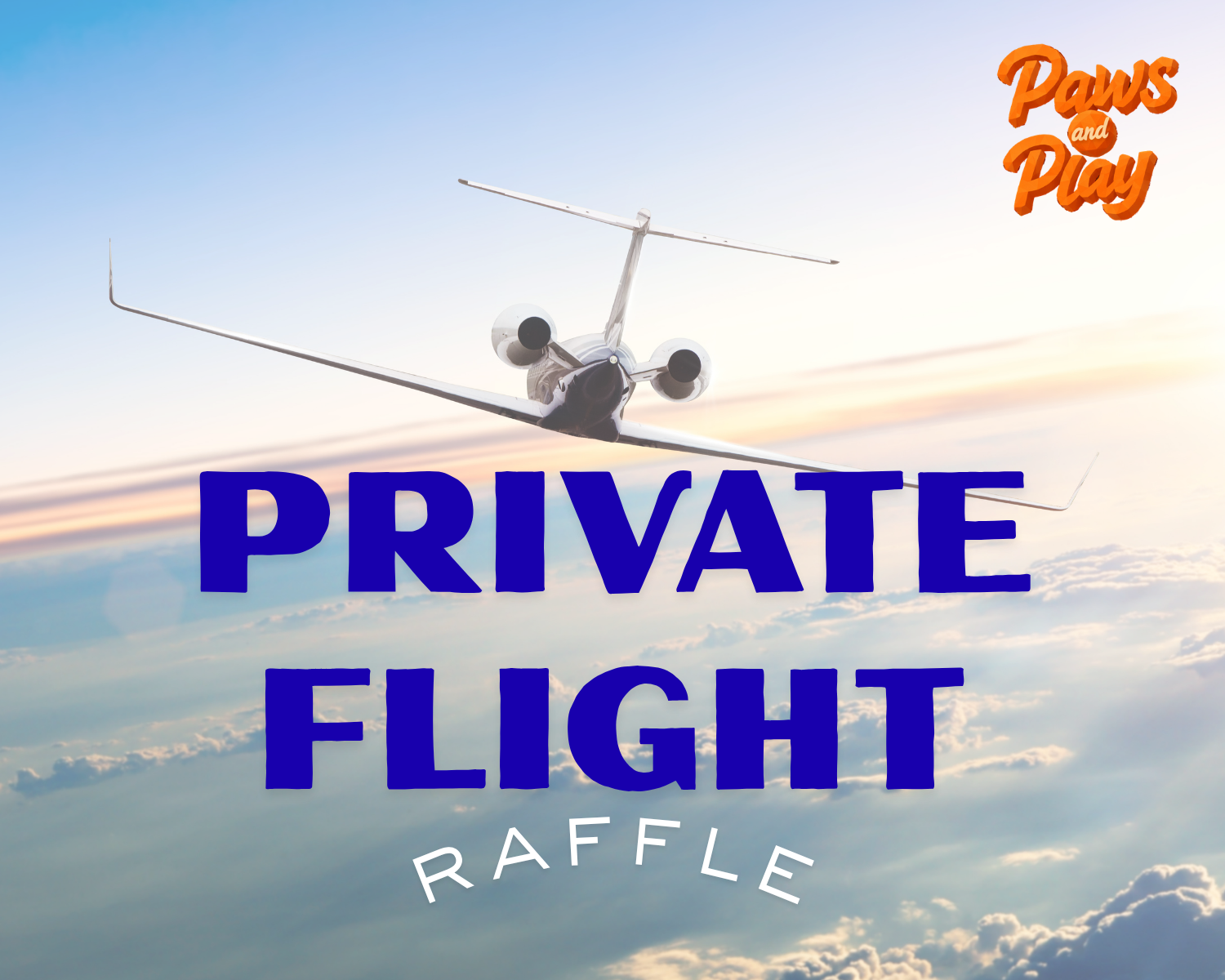 plane over the clouds with text that says private flight raffle